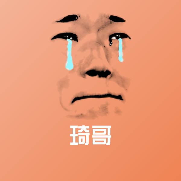 搞笑琦哥表情