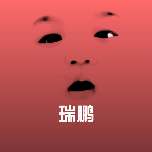 搞笑瑞鹏表情