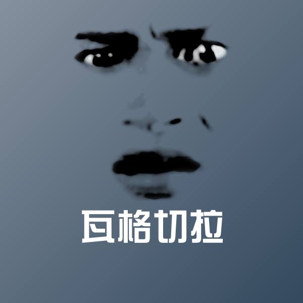 瓦格切拉沙雕表情包
