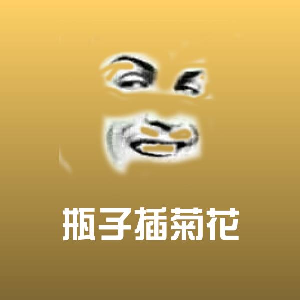 瓶子插菊花斗图图片