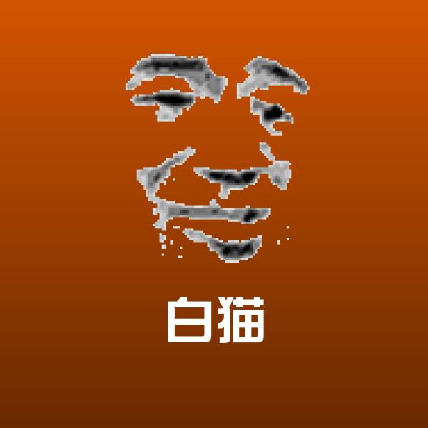白猫聊天表情
