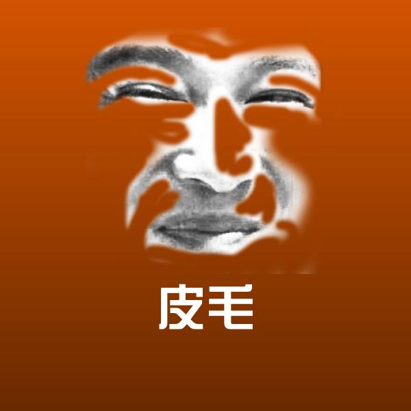 高清皮毛表情图片