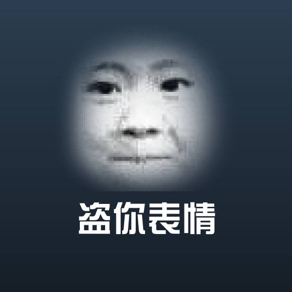 盗你表情聊天表情