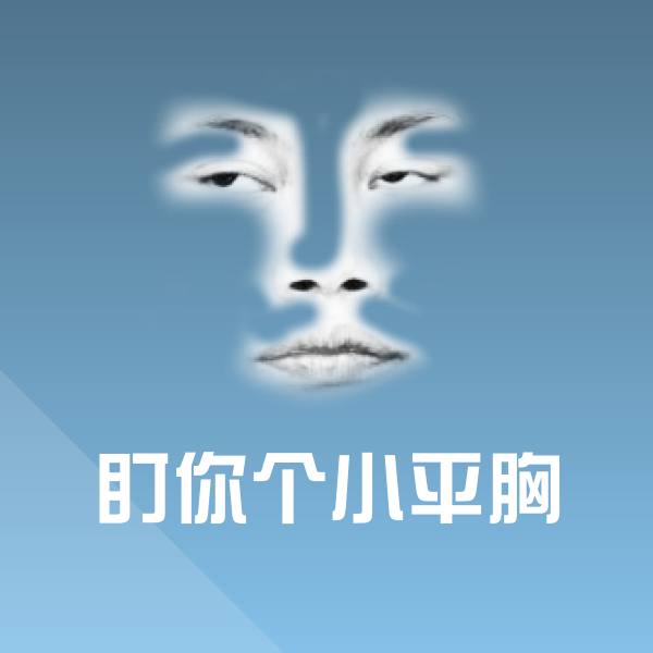盯你个小平胸沙雕表情包