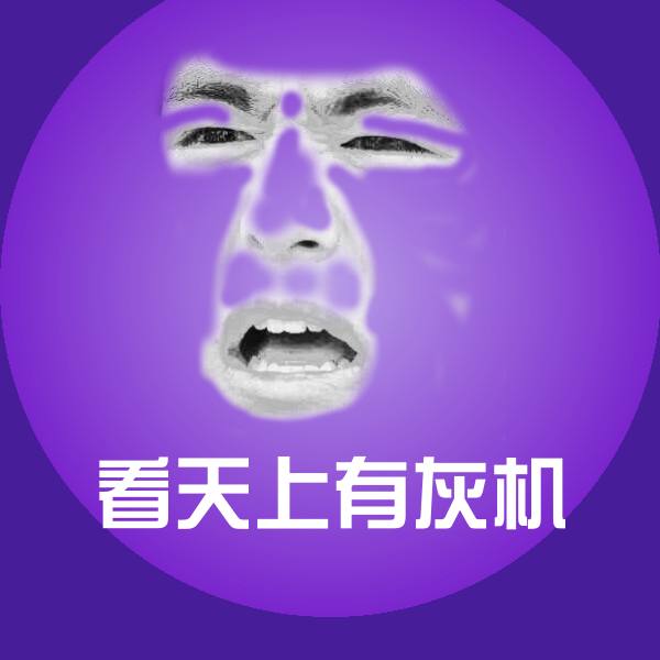 看天上有灰机斗图图片