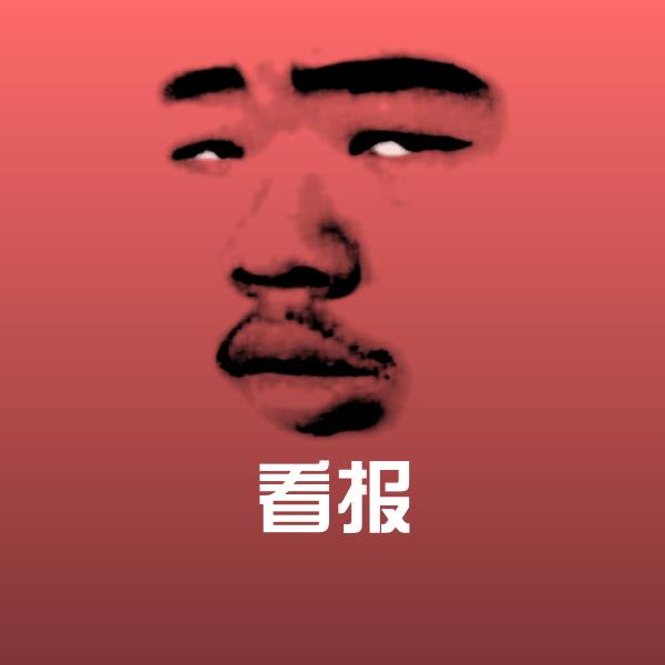 看报斗图神器