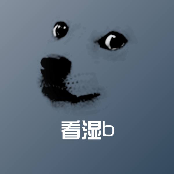 看湿b斗图神器