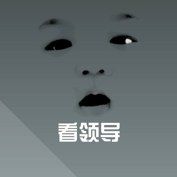 高清看领导表情图片 第1张