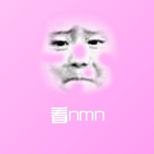 看nmn斗图神器