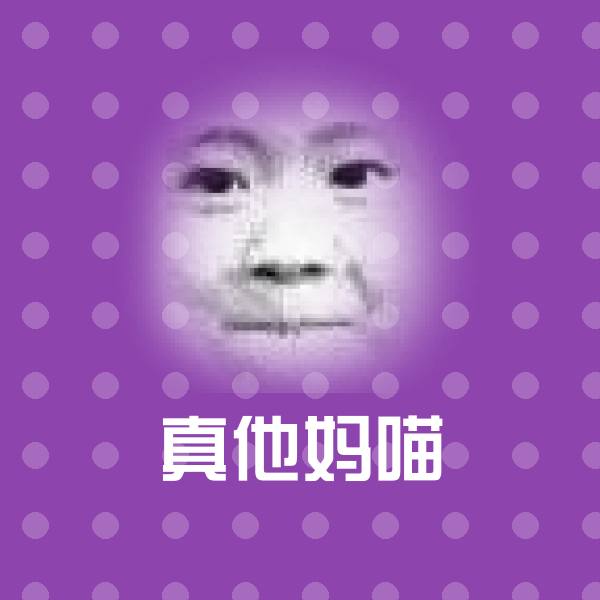 真他妈喵斗图图片 第1张