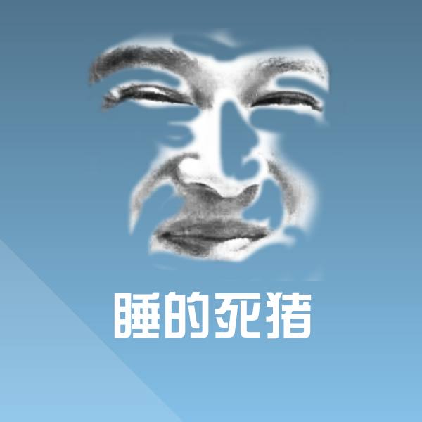 睡的死猪沙雕表情包