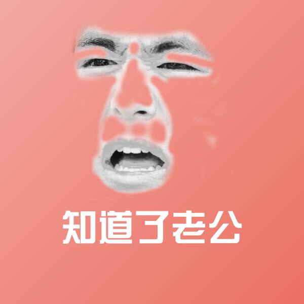 搞笑知道了老公表情