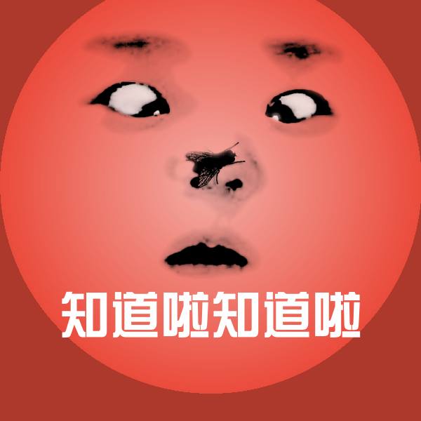 知道啦知道啦斗图图片