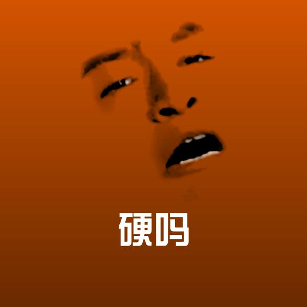 硬吗表情包