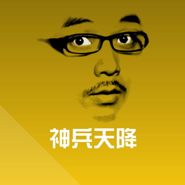 神兵天降表情包