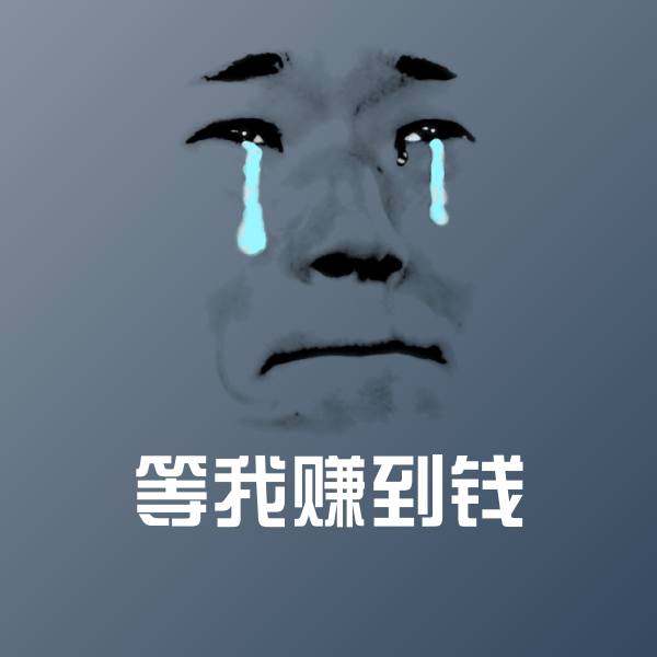 等我赚到钱表情包