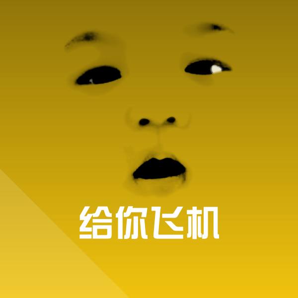 给你飞机斗图神器