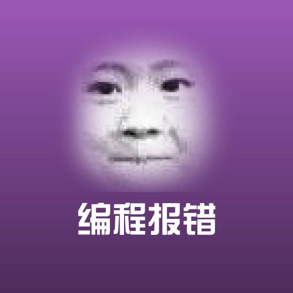 编程报错沙雕表情包
