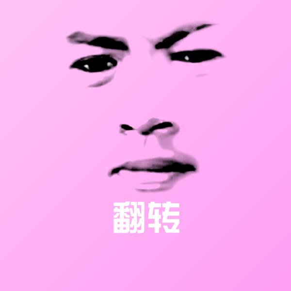 翻转微信表情包