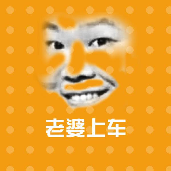 老婆上车聊天表情