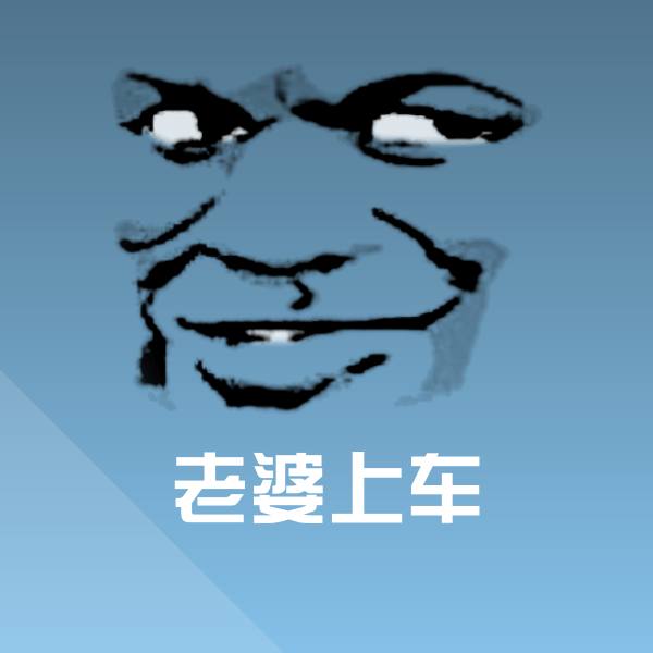 可爱老婆上车表情