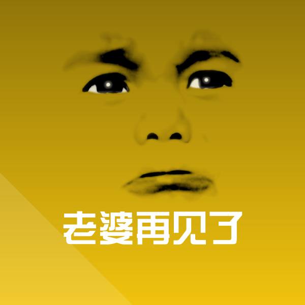 老婆再见了聊天表情