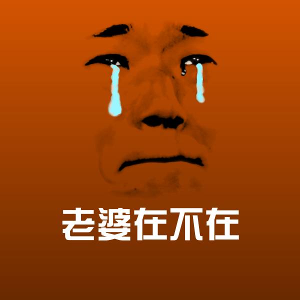 搞笑老婆在不在表情