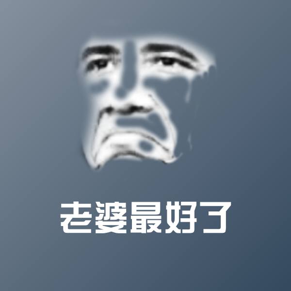 老婆最好了斗图图片