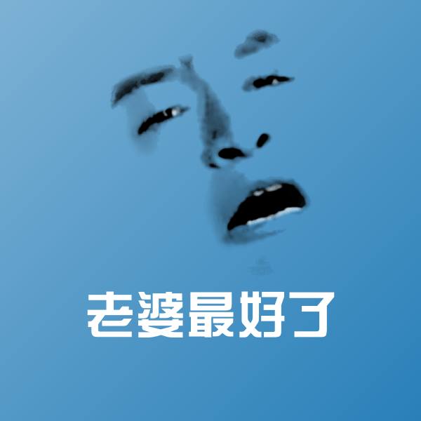 老婆最好了表情包