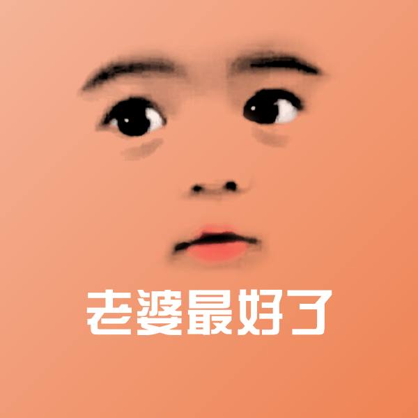 可爱老婆最好了表情