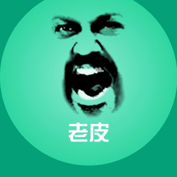 搞笑老皮表情