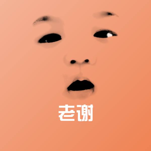 老谢斗图图片