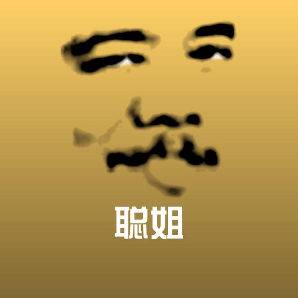 聪姐表情包