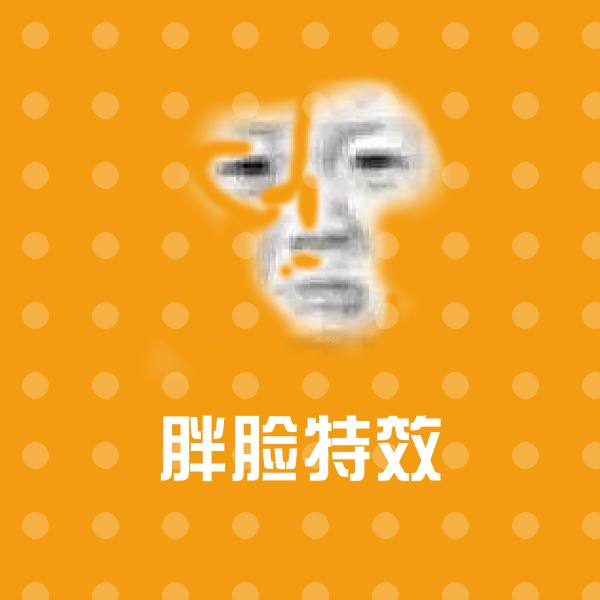 胖脸特效斗图神器