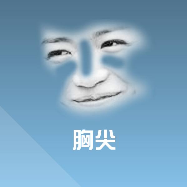 胸尖斗图神器