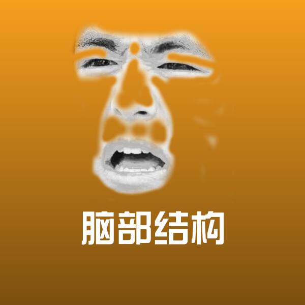 脑部结构微信表情包