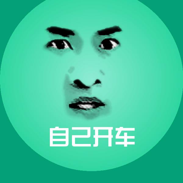 自己开车表情包