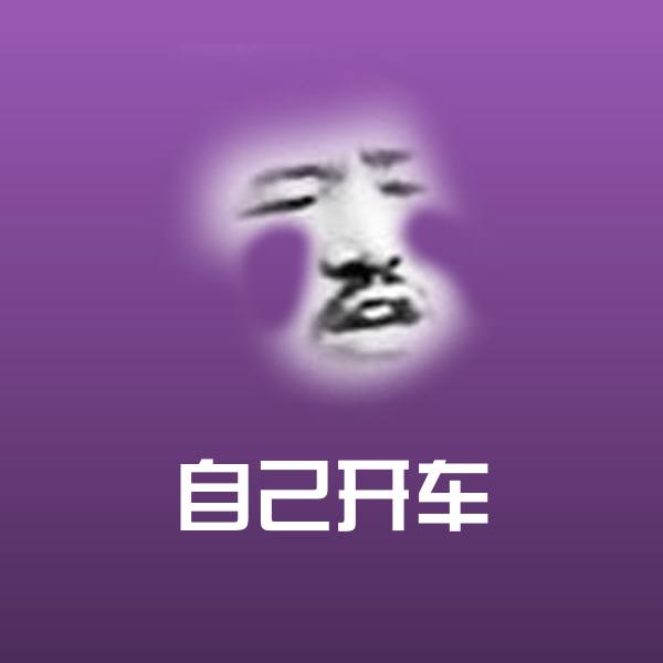 原创自己开车表情包