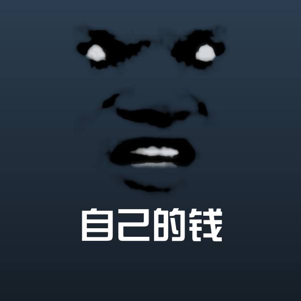 自己的钱聊天表情