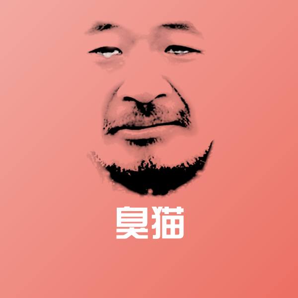 臭猫表情包