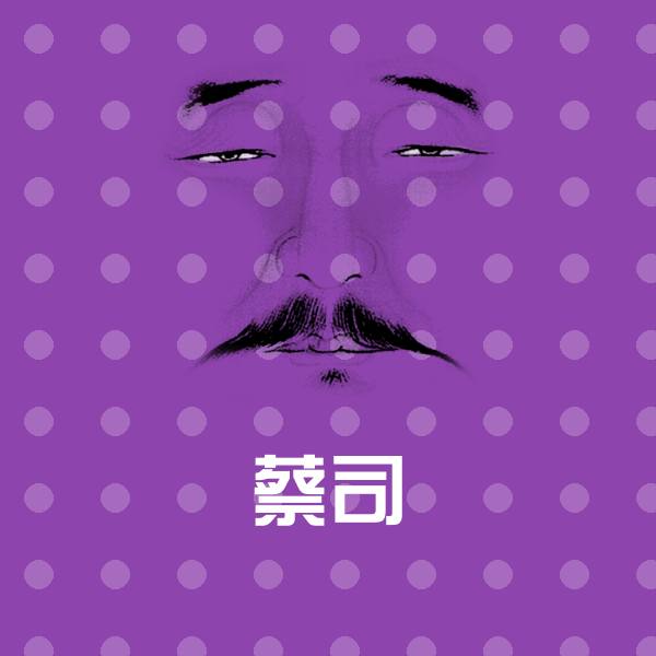 搞笑蔡司表情