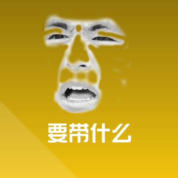 要带什么斗图图片