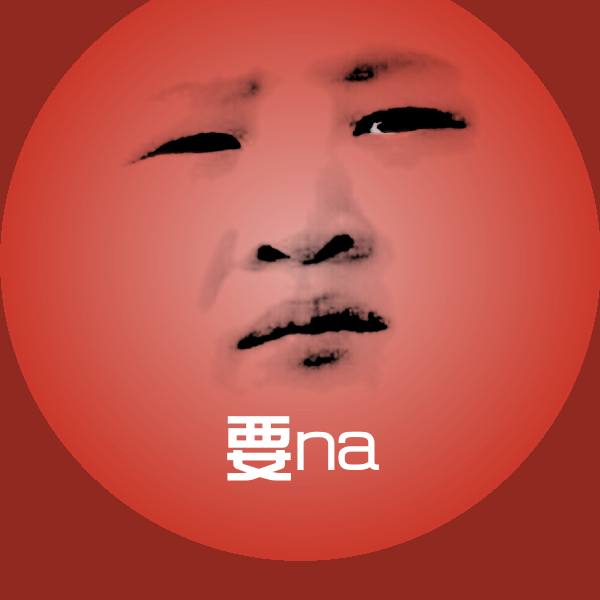 要na表情包