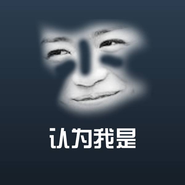 认为我是斗图神器