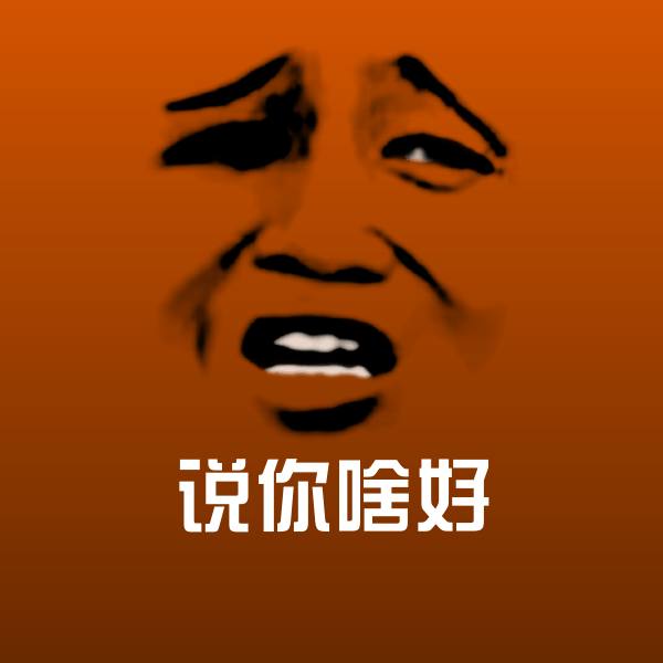 说你啥好斗图神器