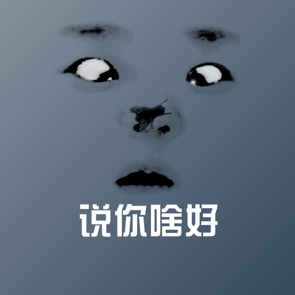说你啥好沙雕表情包