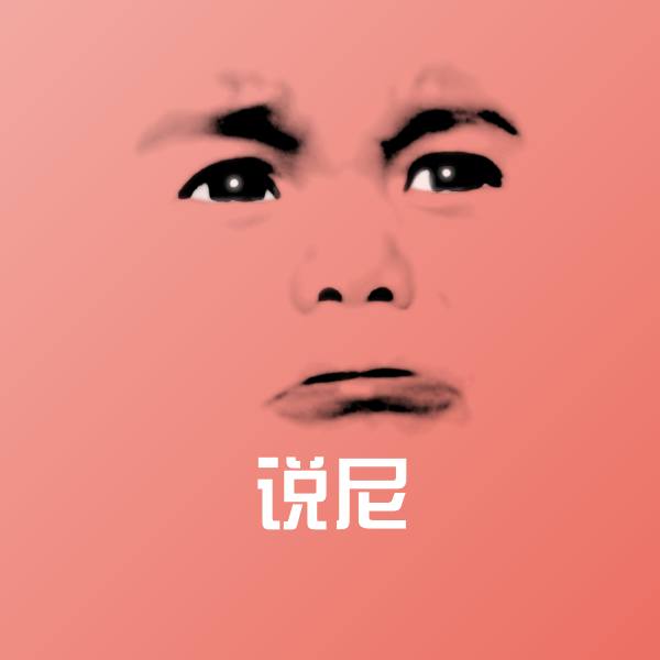 搞笑说尼表情