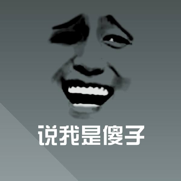 说我是傻子微信表情包
