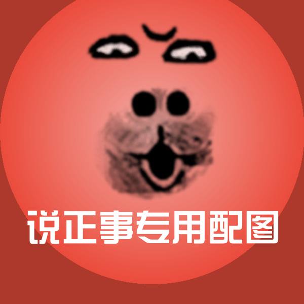 搞笑说正事专用配图表情
