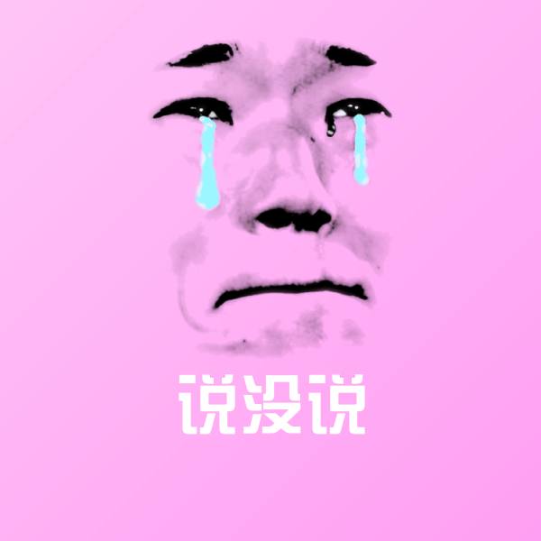 说没说聊天表情